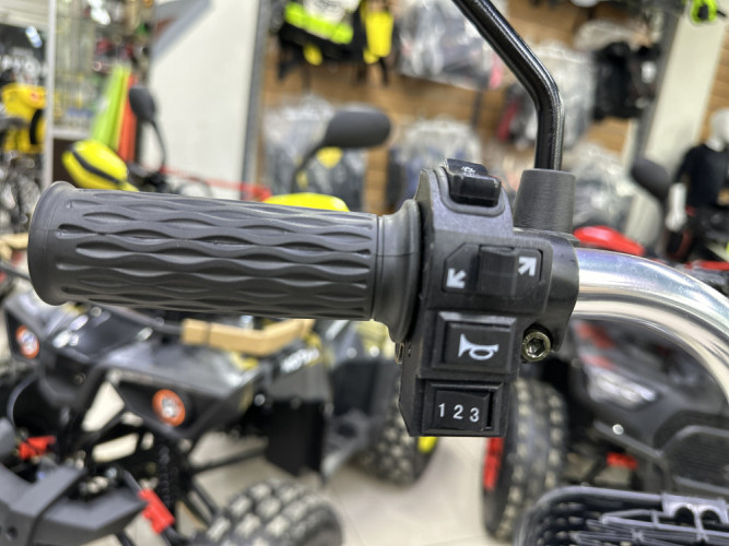 Электровелосипед Motax E-NOT Express Lux в Томске