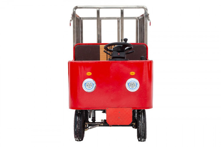 Грузовая электрическая тележка RuTrike КАРА в Томске