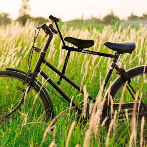 Велокресло переднее Маруся Max с ручкой в Томске