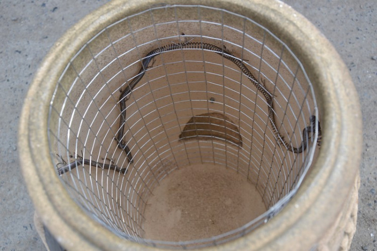 Тандыр Электрический Малый в Томске