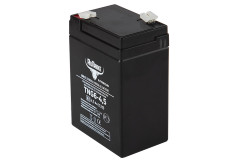 Тяговый гелевый аккумулятор RuTrike TNG 6-4,5 (6V4,5A/H C20) Тяговый гелевый аккумулятор RuTrike TNG 6-4,5 (6V4,5A/H C20)