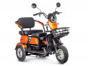 Электротрицикл Rutrike Gelbert Caf в Томске
