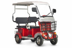 Пассажирский электротрицикл Rutrike Gelbert Hara в Томске