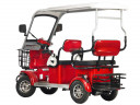 Пассажирский электротрицикл Rutrike Gelbert Hara в Томске