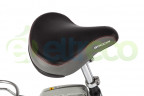 Электровелосипед Benelli Goccia 22 в Томске