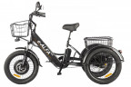 Электрофэтбайк Eltreco Green City e-ALFA Trike в Томске
