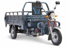 Грузовая электрическая тележка Rutrike Титан 2000 Гидравлика в Томске