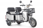 Пассажирский электротрицикл Rutrike Gelbert Tuban в Томске