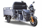 Грузовой электрический трицикл RuTrike Гибрид 1500 в Томске